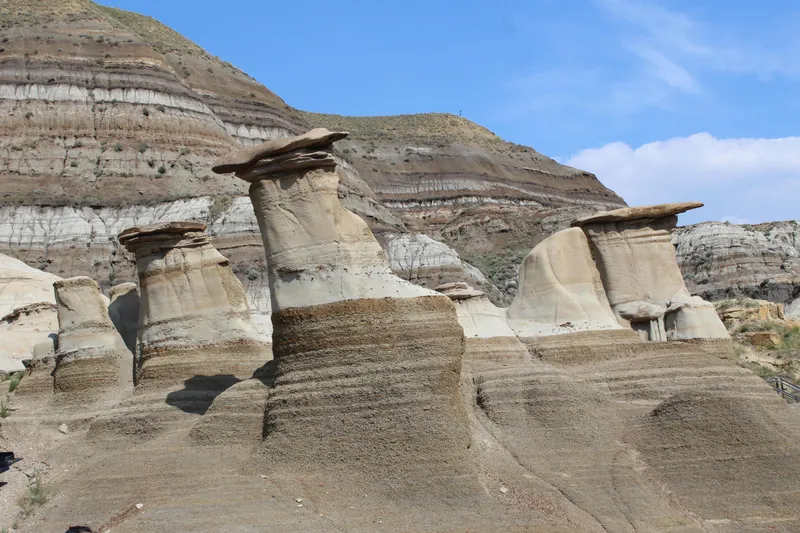 The Hoodoos
